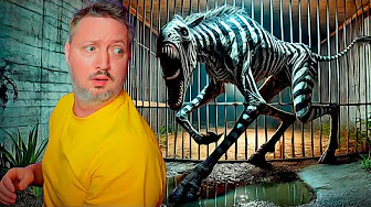 Jeg FLYGTER Fra Den MUTEREDE ZEBRA! (Zoochosis #3)