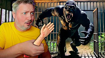 Hvem Har Lukket DEN MUTEREDE Gorilla Ud?! (Zoochosis #2)