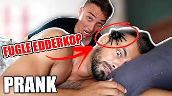 Vækker Ham Med Fugle-Edderkop I Hovedet Prank (Min Ondeste Prank)