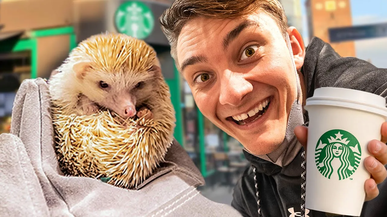 VERDENS MÆRKELIGSTE CAFÉER