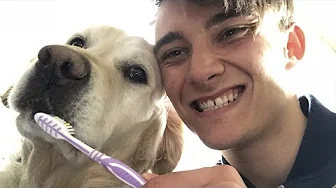 BRUGER ANNAS TANDBØRSTE PÅ JACK (En dag med Jab)