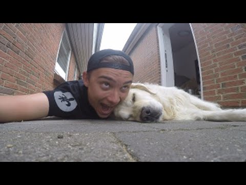 Min første dag med GoPro..