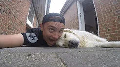 Min første dag med GoPro..