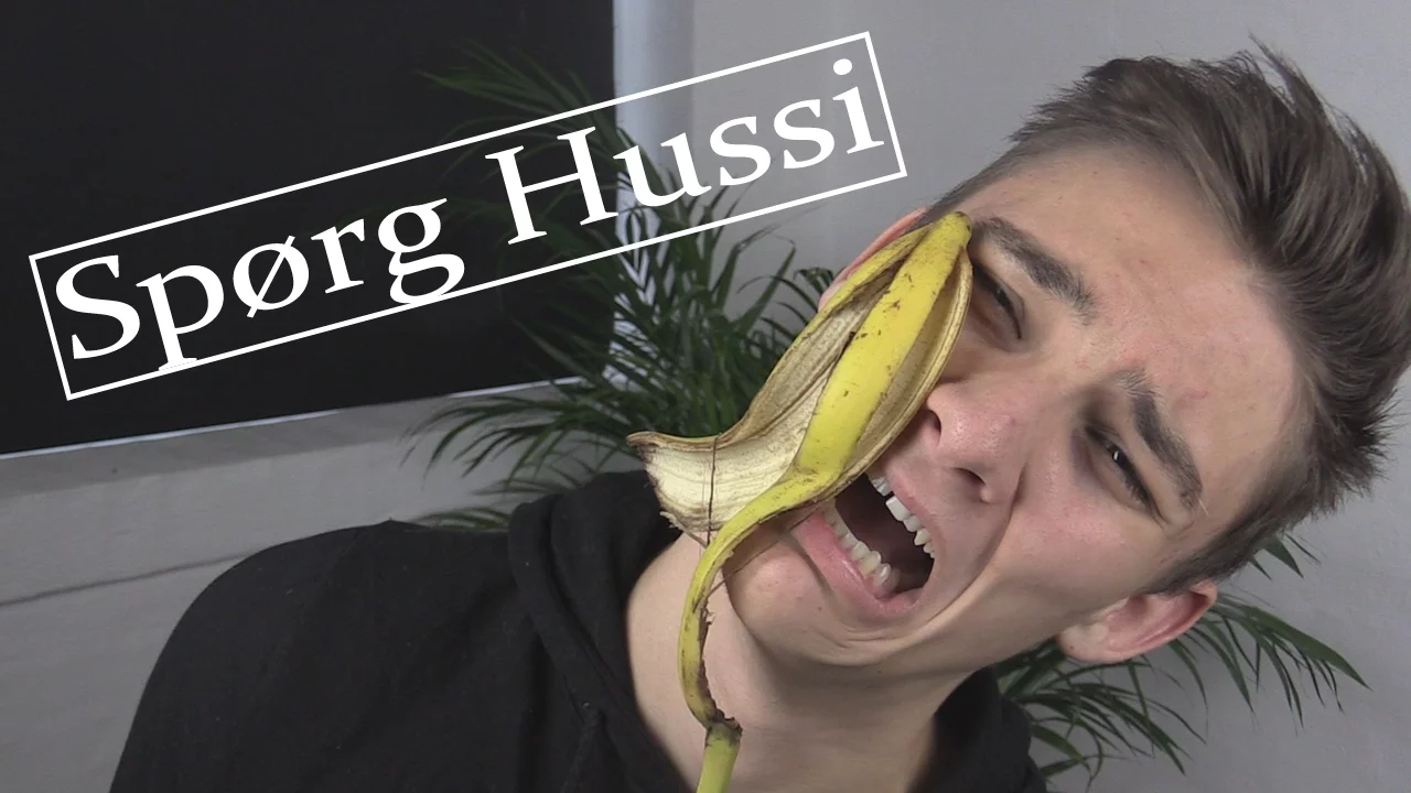 SÅDAN SIGER EN KYLLING - Spørg Hussi