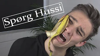 SÅDAN SIGER EN KYLLING - Spørg Hussi