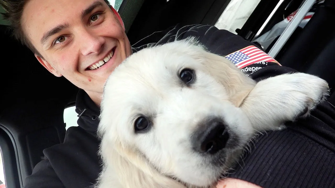 Henter Min Hundehvalp