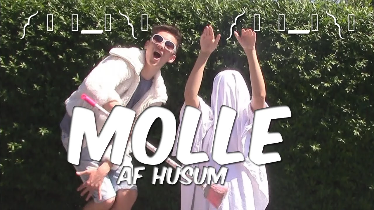 Molle feat. Husum (Official Music Video)