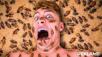 Vil Du Ligge Her for 20.000kr?