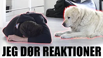 MIN FAMILIES REAKTION HVIS JEG FALDT OM PRANK