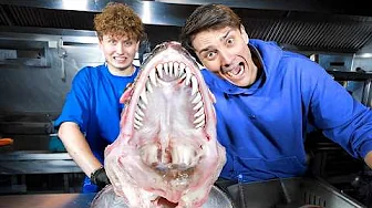 Hvad har vi gjort…