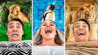 Overnatter På VILDESTE HOTELLER I Danmark (Ingen kan sove her)