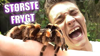 HOLDER MIN VÆRSTE FRYGT NOGENSINDE (300k Special)