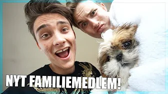 MØD DET NYE FAMILIEMEDLEM - Husum FlytteVlog 2