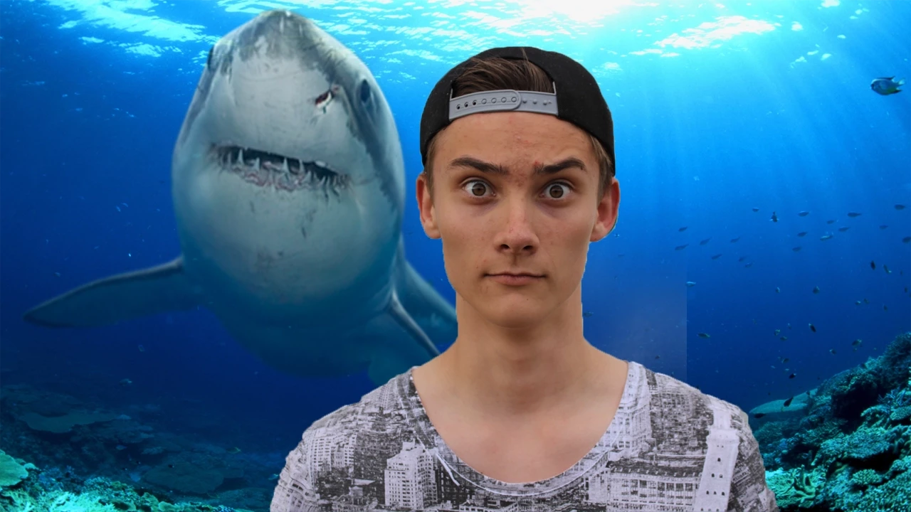 Det mandige skrig og hajen - 12 timers stream highlight