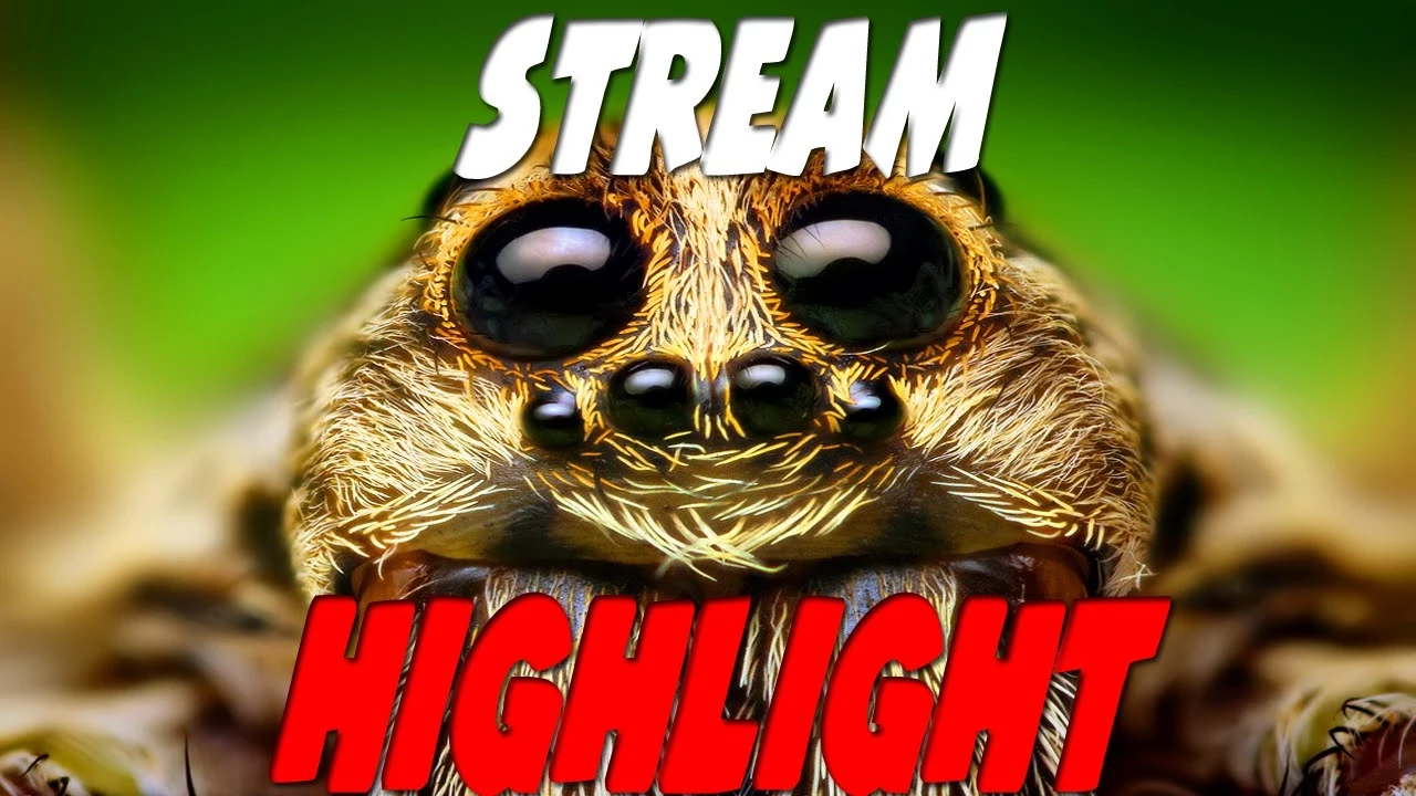 Stream highlight - Den SATANS edderkop