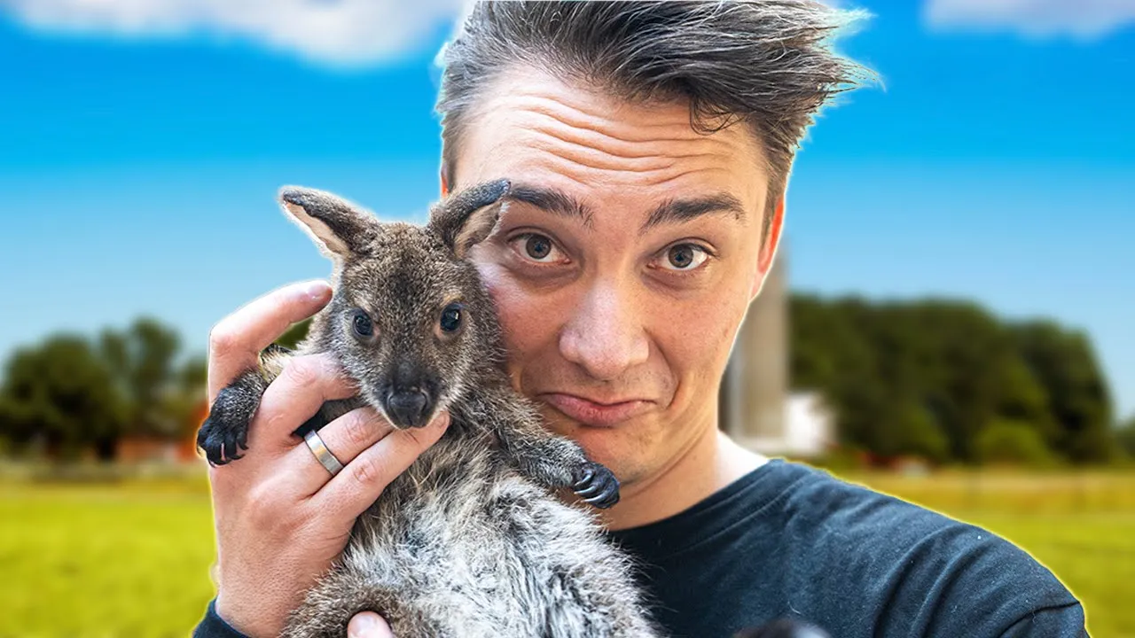 MIT NYE KÆLEDYR (Kænguru Unge)