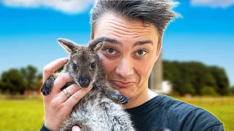 MIT NYE KÆLEDYR (Kænguru Unge)