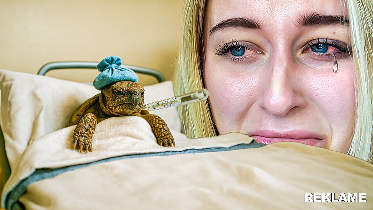 Vores Skildpadde Er MEGET Syg