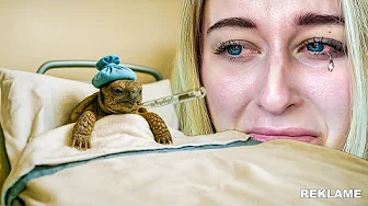 Vores Skildpadde Er MEGET Syg
