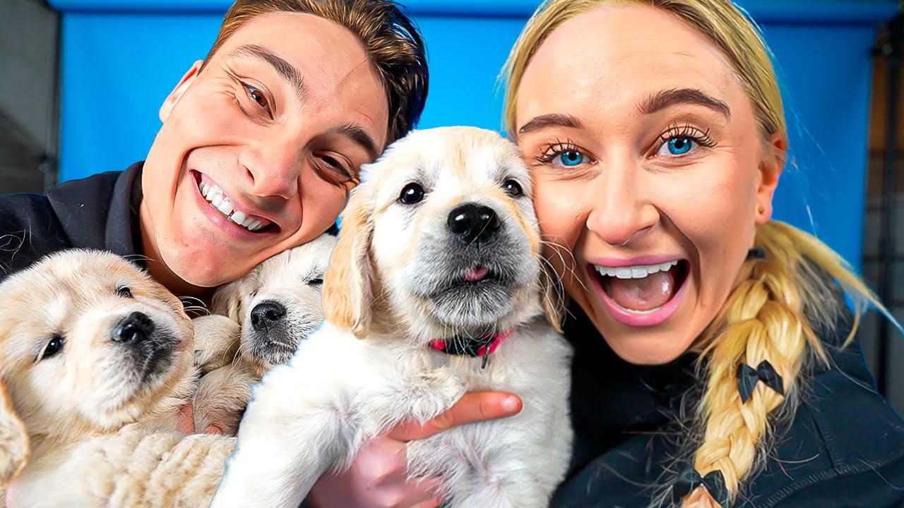 Hvornår Skal Vi Have Børn? (Hvalpe Interview)