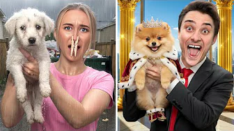 3600kr VS 25.000kr Hundehvalp (Hvilken skal vi vælge?)