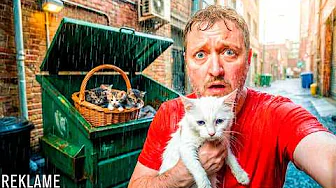 Mit Dyrehospital Er ÅBENT!