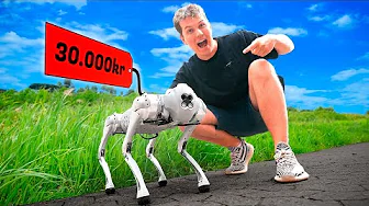 Min Nye Hund Til 30.000KR