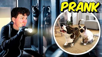 INDBRUDS PRANK PÅ HACHI OG OLAF!