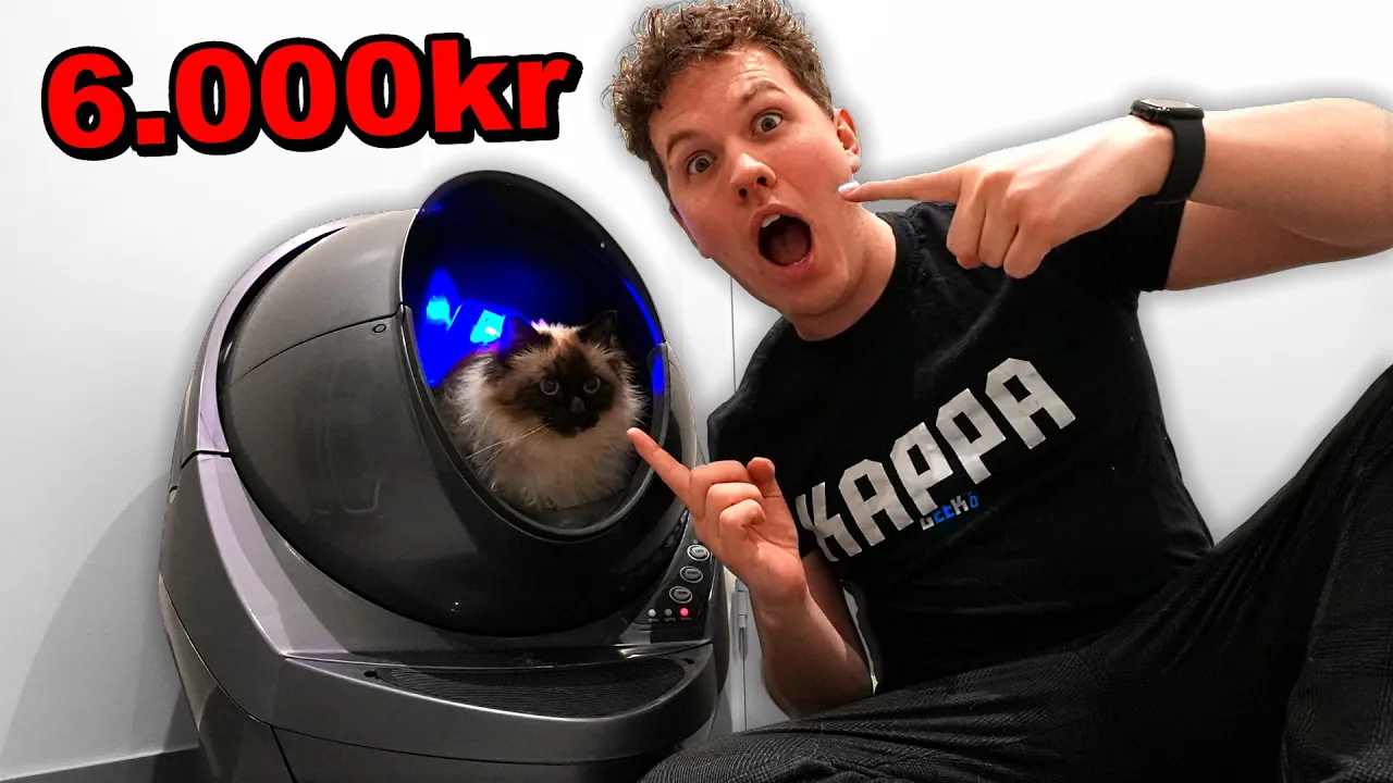 Vi Har Købt Et Kattetoilet Til 6.000 KR!