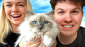 Vi Har Holdt På En Stor Hemmelighed...