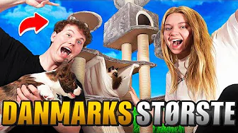 VI KØBTE *DANMARKS STØRSTE* KRADSETRÆ TIL OLAF!!