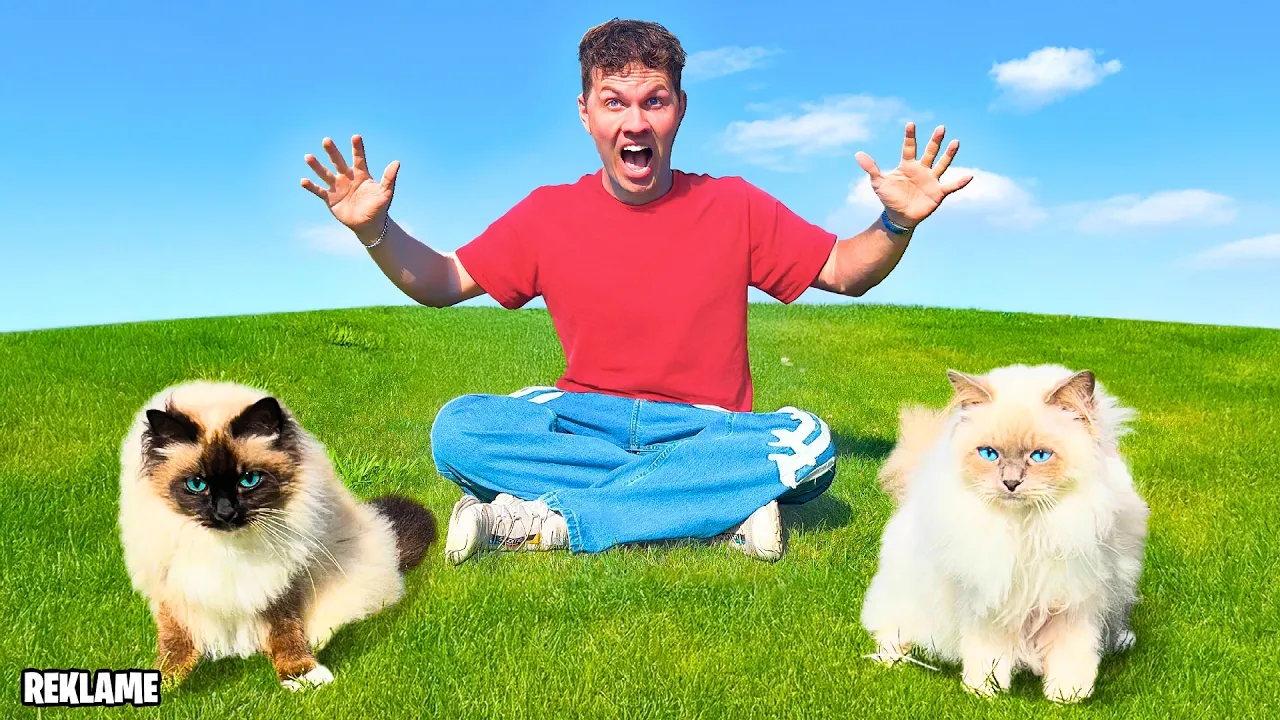 MINE KÆLEDYR BESTEMMER MIT LIV I 1 DAG!