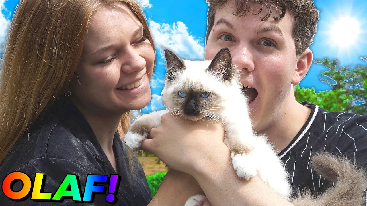 Mød vores nye killing😻