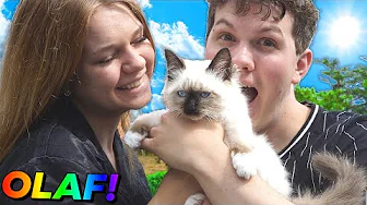 Mød vores nye killing😻