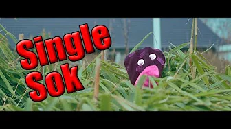 Moller - Single Sok ft. Guldborg (Officiel Musikvideo)