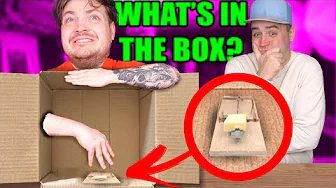 EN MUSEFÆLDE I KASSEN?! 😲