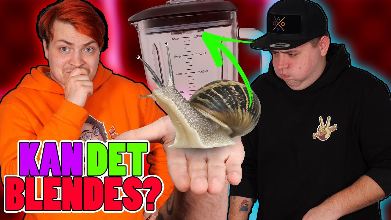 SNEGLE I BLENDER! | Kan Det Blendes? S2E4