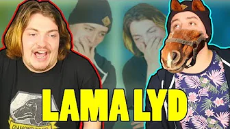 Hvem Er Den Bedste Papegøje? | Dyrelyde Challenge #2