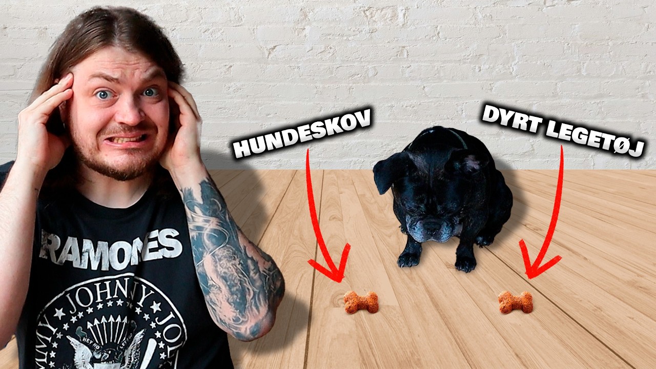 Min Hund Styrer Min Dag!