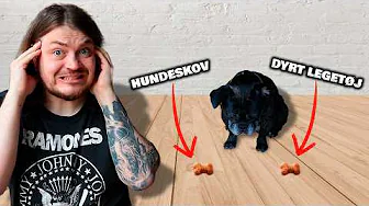 Min Hund Styrer Min Dag!