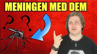 MENINGEN MED MYG?