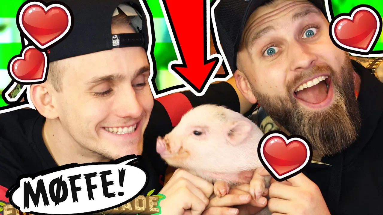 Mød MØFFE! - Vores Baby Gris!!