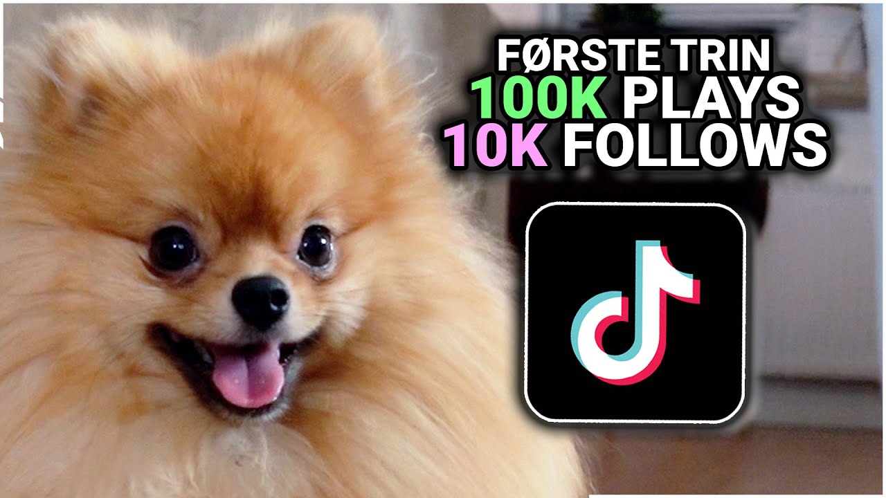 Gør Eddie TikTok famous på 24 Timer!