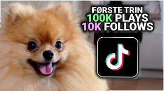 Gør Eddie TikTok famous på 24 Timer!