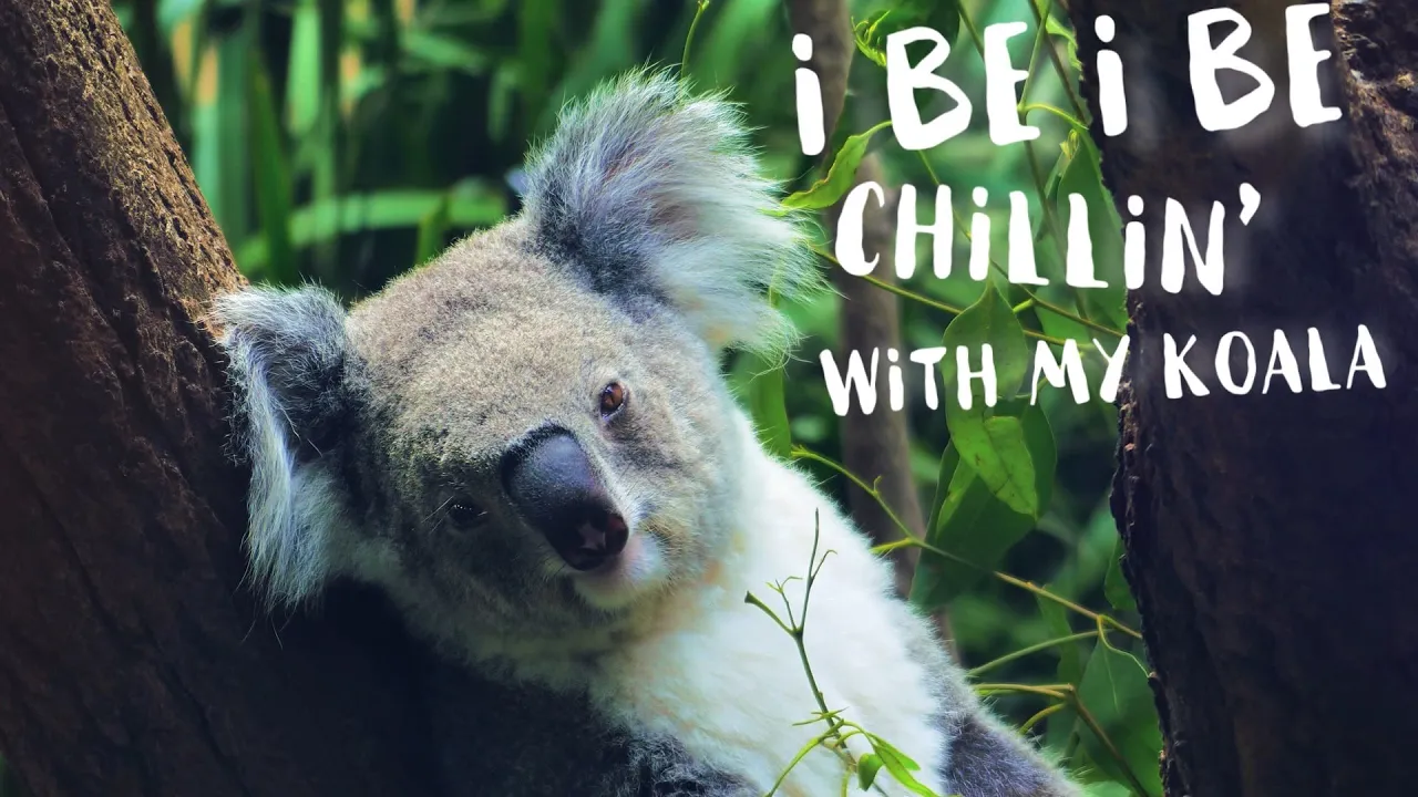 Eiqu - KOALA (Official Lyric Video)