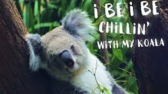 Eiqu - KOALA (Official Lyric Video)