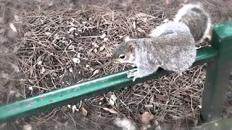 Whaddup Bournemouth Case 1 - VLOG#5