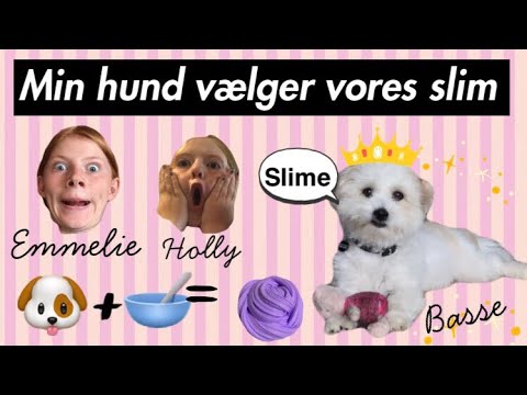😱MIN HUND VÆLGER VORES SLIM!!!😱