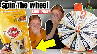 Spin The wheel CHALLENGE! Med Holly!