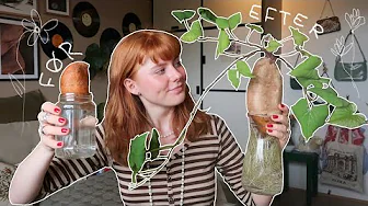 LAV DINE EGNE PLANTER AF FRUGT OG GRØNSAGER!! Avocado, mango, kartoffel o.m.m